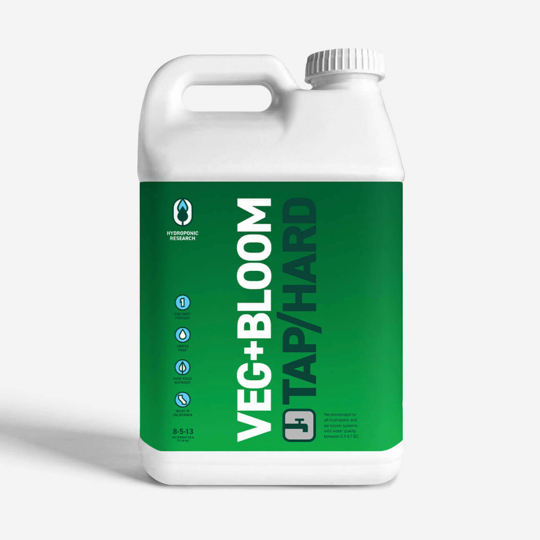 VEG+BLOOM