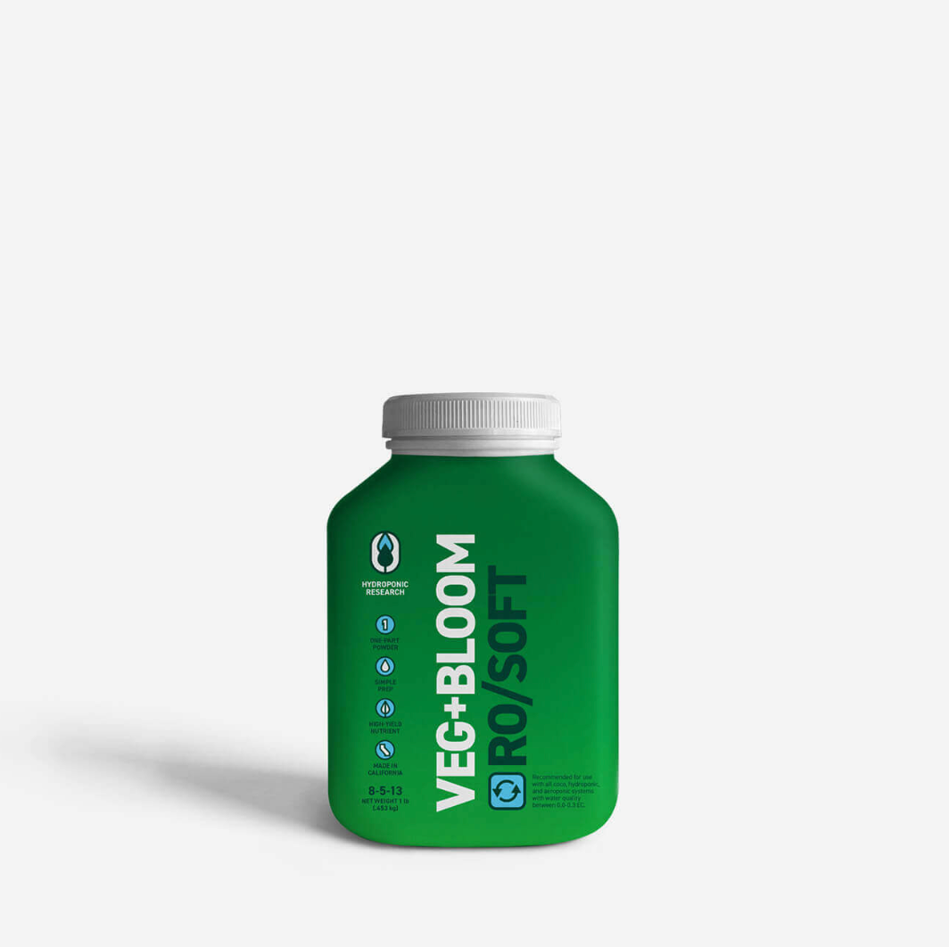 VEG+BLOOM