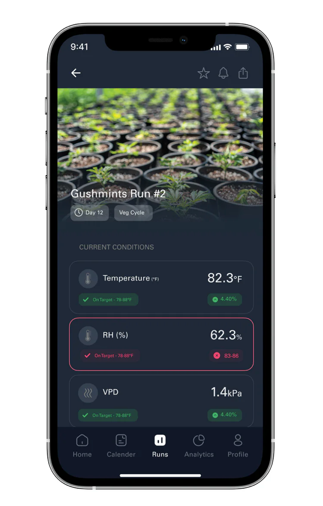 Discover the App That Takes Home Cultivation to the Next Level